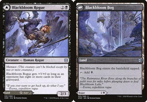 Blackbloom Rogue // Blackbloom Bog - Foil