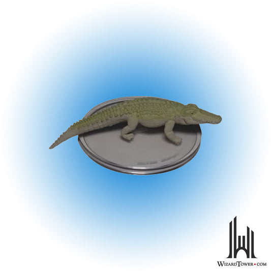 Crocodile (Albino) #29b