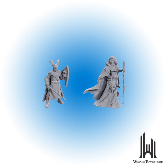 Unpainted Miniature - Dungeons & Dragons Anniversary - Elves