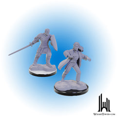 Unpainted Miniature - Dungeons & Dragons - Reborn Paladin and Warlock