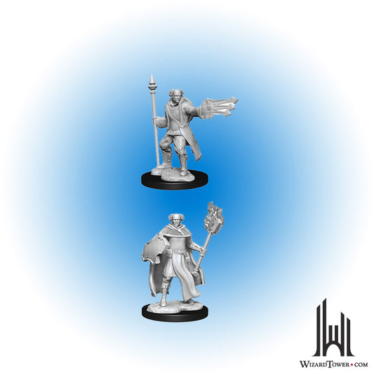 Unpainted Miniature - Dungeons & Dragons - Multiclass Cleric / Wizard Male