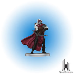 Drow Harper Warrior Veteran #18