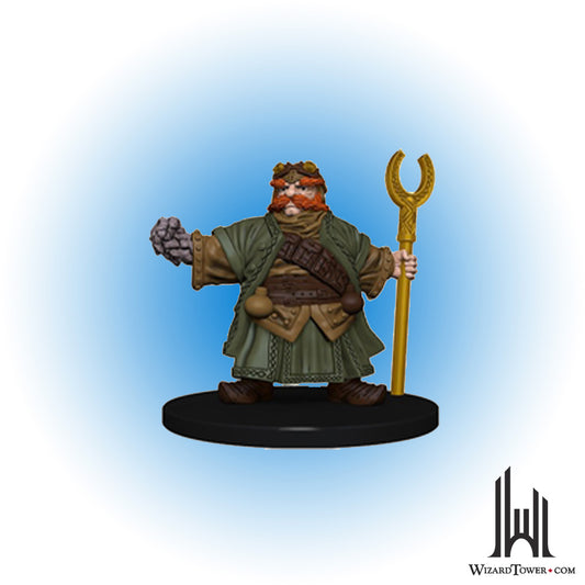 Dwarf Wizard #17