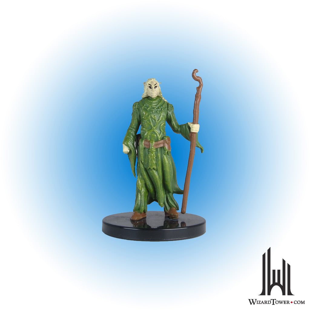 Elf Druid #13