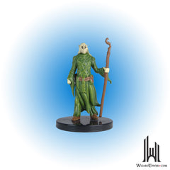 Elf Druid #13