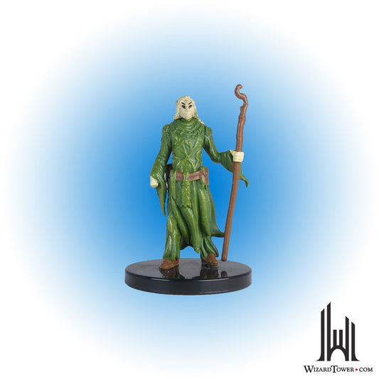 Elf Druid #13
