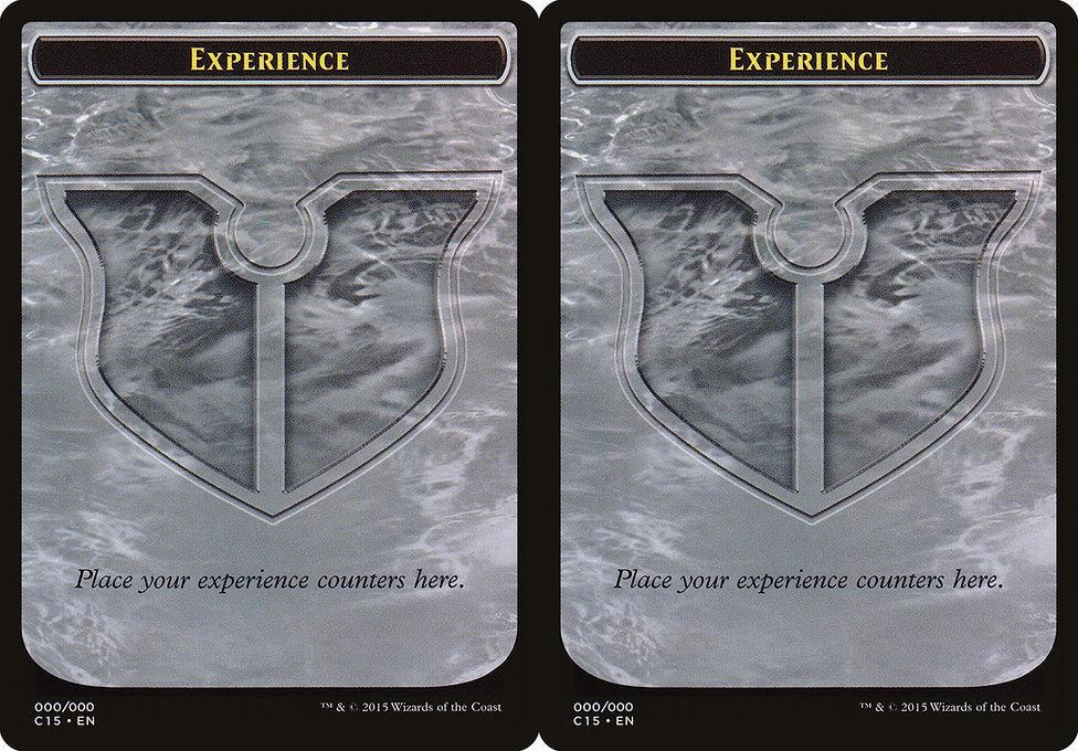 Experience Counter (000) Double-Sided Token