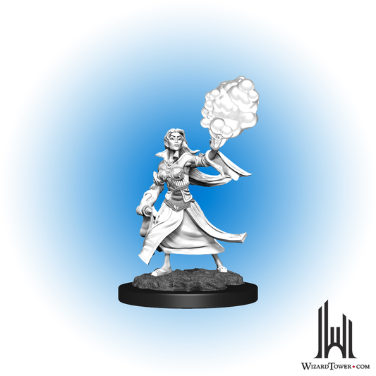 Unpainted Miniature - Dungeons & Dragons - Elf Sorcerer