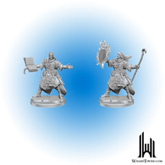 Unpainted Miniature - Pathfinder Frameworks - Human Wizard