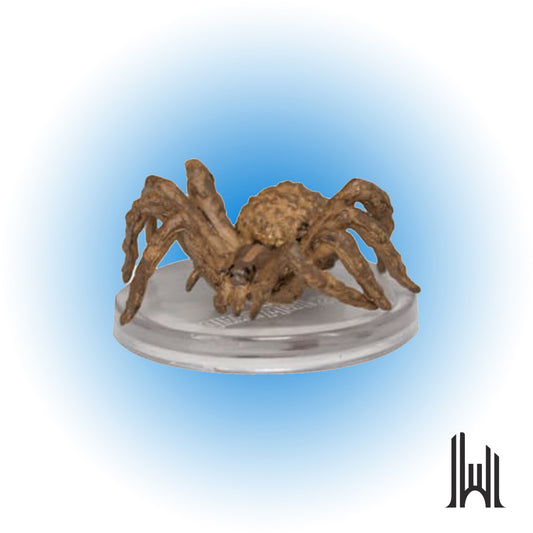 Giant Wolf Spider #21