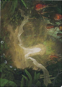 Hushwood Verge (26/54) Art Card