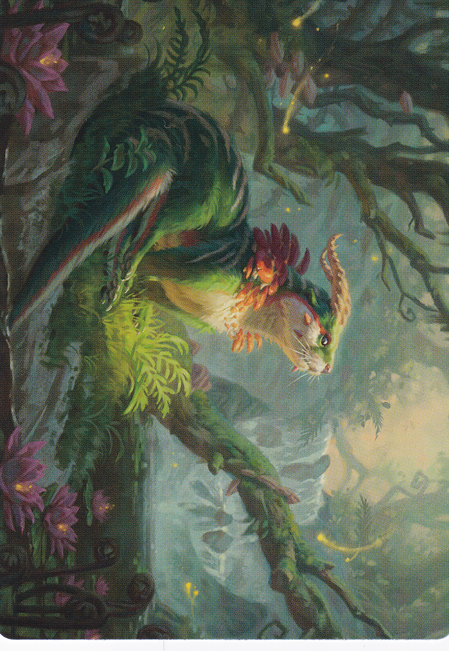 Elusive Otter (37/81) Art Card