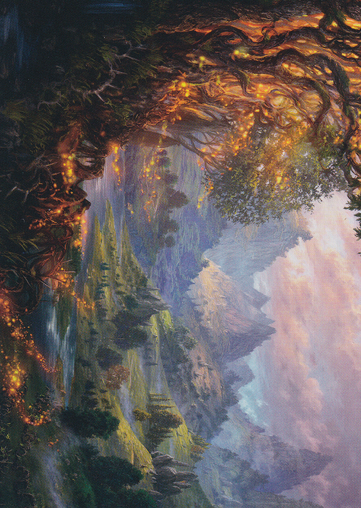 Evolving Wilds (47/81) Art Card