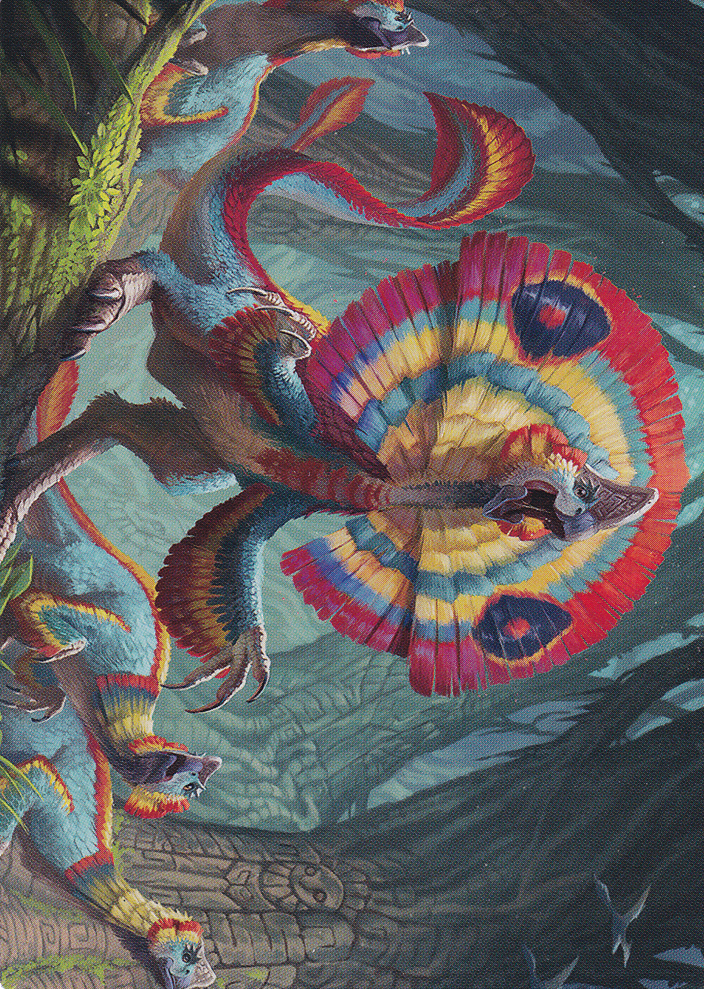Sunfrill Imitator (78/81) Art Card