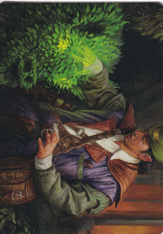 Hedge Whisperer (14/49) Art Card