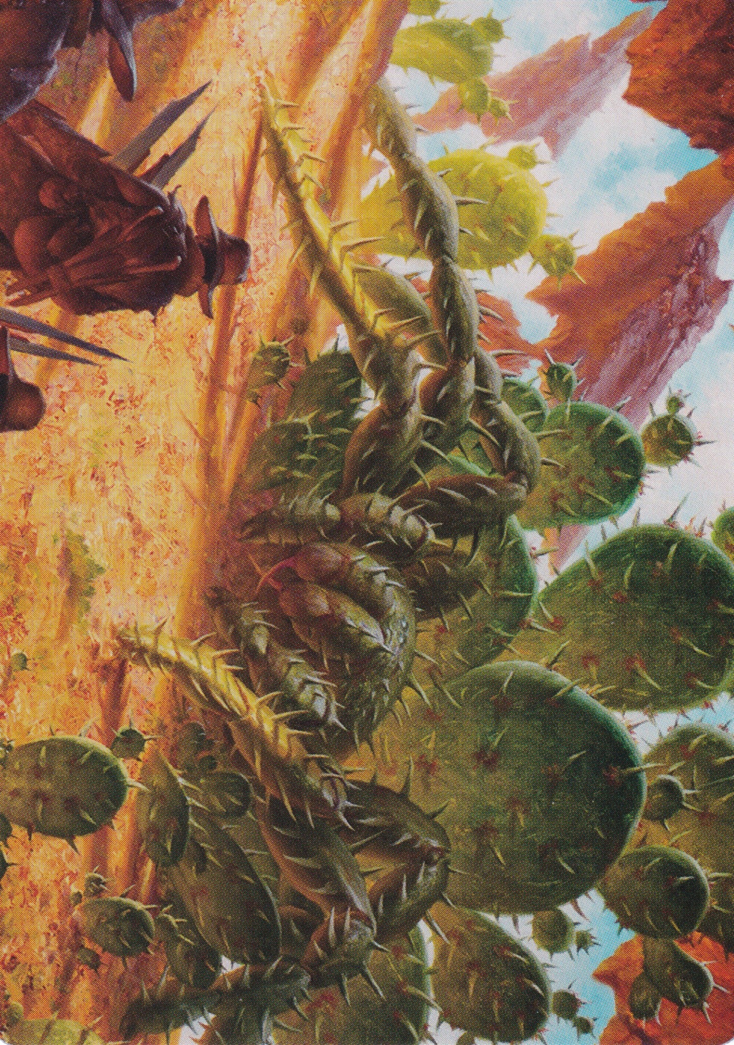 Cactarantula (12/54) Art Card