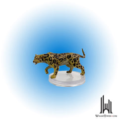 Leopard #08