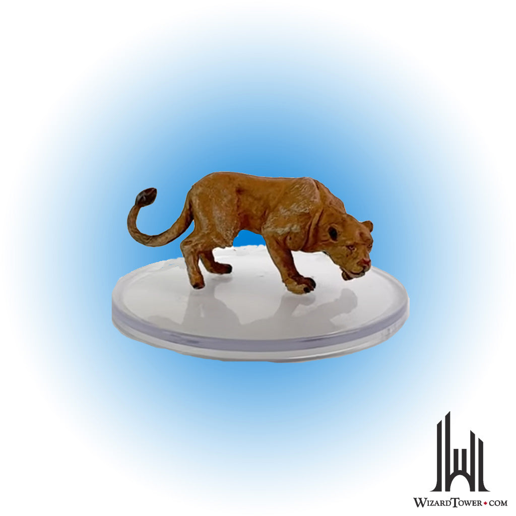 Lioness #30
