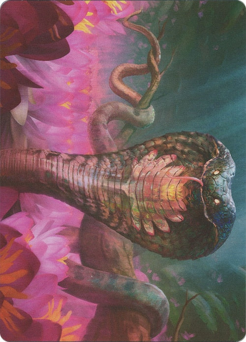 Lotus Cobra (71/81) Art Card