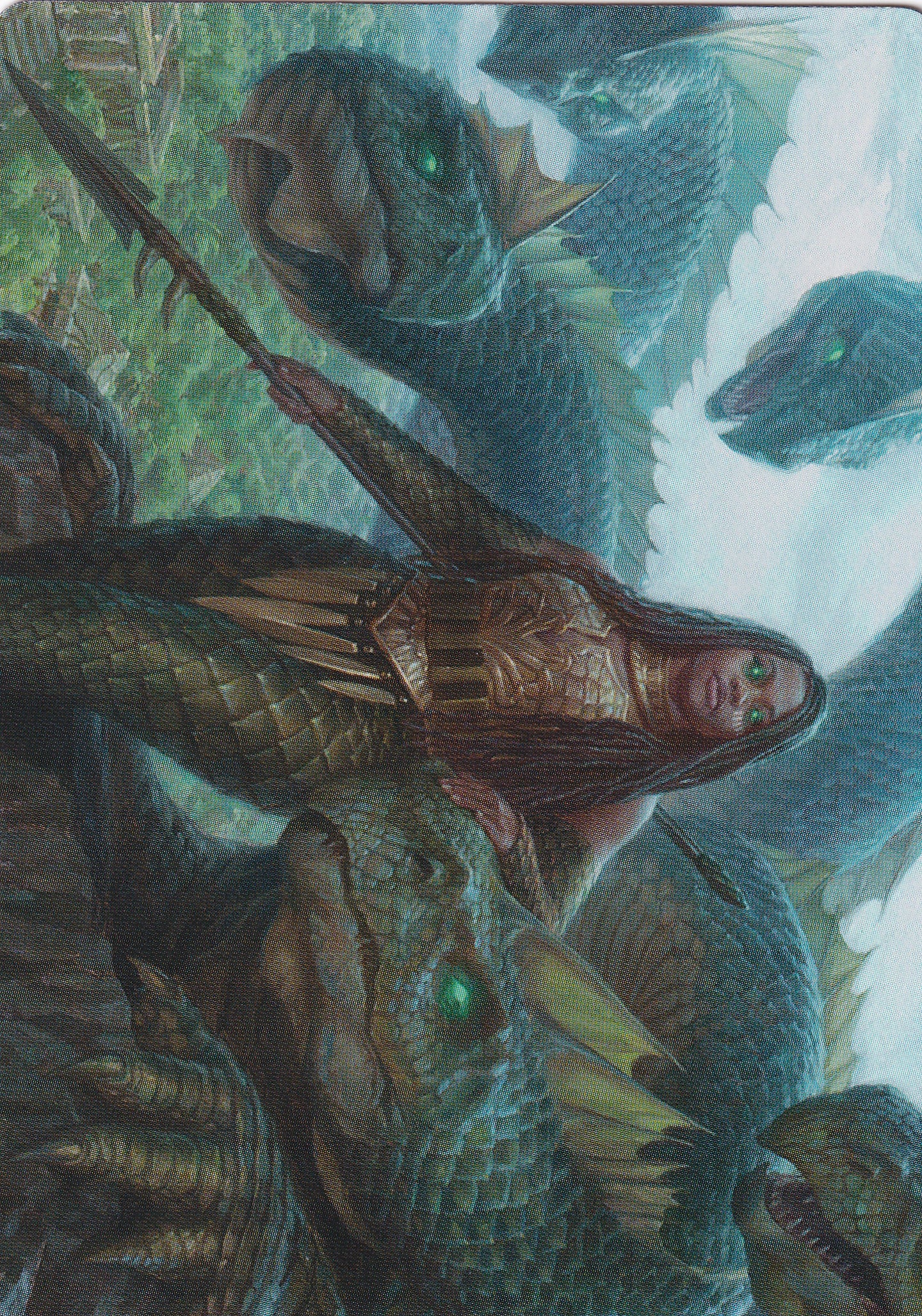 Hydra Trainer (10/54) Art Card