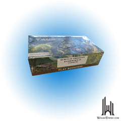 Magic the Gathering Secrets of Strixhaven Random Box of Commons