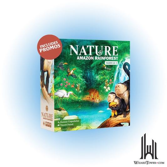 Nature - Rainforest