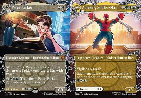 Peter Parker // Amazing Spider-Man (0208) (Borderless) - Foil