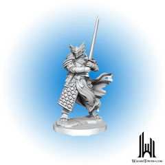 Unpainted Miniature - Dungeons & Dragons Frameworks - Dragonborn Paladin
