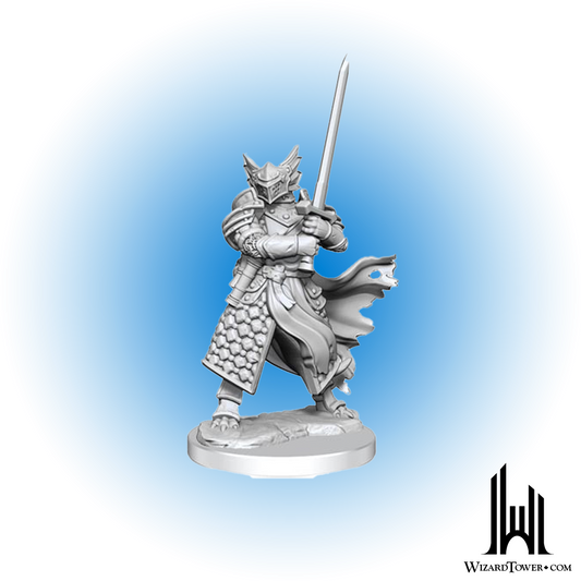 Unpainted Miniature - Dungeons & Dragons Frameworks - Dragonborn Paladin
