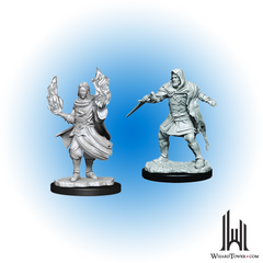 Unpainted Miniature - Critical Role - Hollow One Rogue and Sorcerer