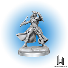 Unpainted Miniature - Dungeons & Dragons Frameworks - Tiefling Rogue Female