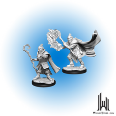 Unpainted Miniature - Critical Role - Hobgoblin Wizard and Hobgoblin Druid