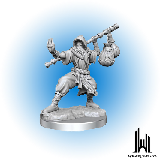 Unpainted Miniature - Dungeons & Dragons Frameworks - Human Monk Male