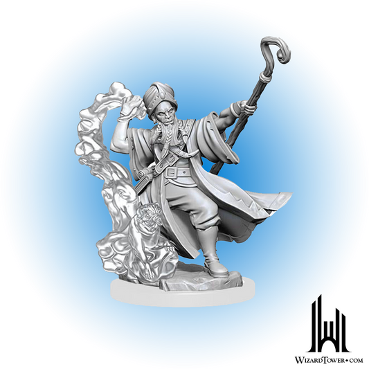 Unpainted Miniature - Dungeons & Dragons Frameworks - Human Wizard Male