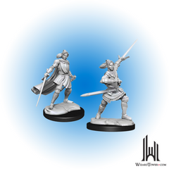 Unpainted Miniature - Critical Role - Half-Elf Xhorhas Paladin