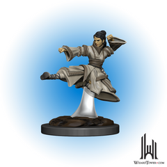 Dungeons & Dragons Premium Figures - Female Human Monk