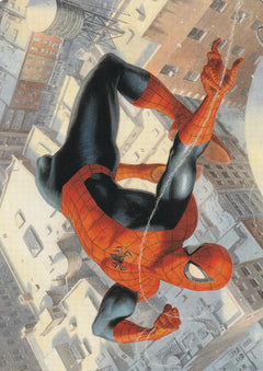 Spider-Man, Peter Parker (53/54) Art Card