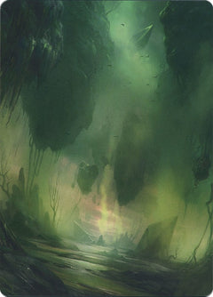 Swamp (13/81) Art Card