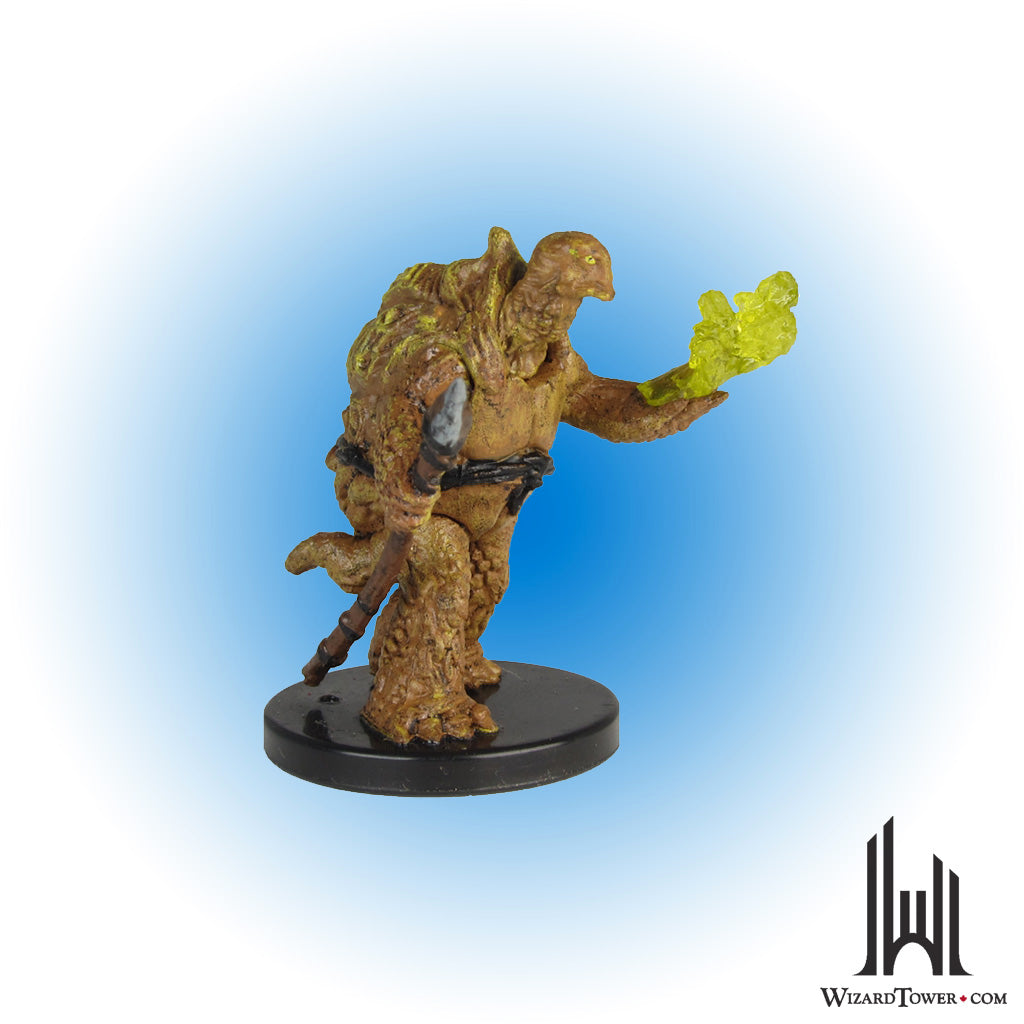 Tortle Druid #16