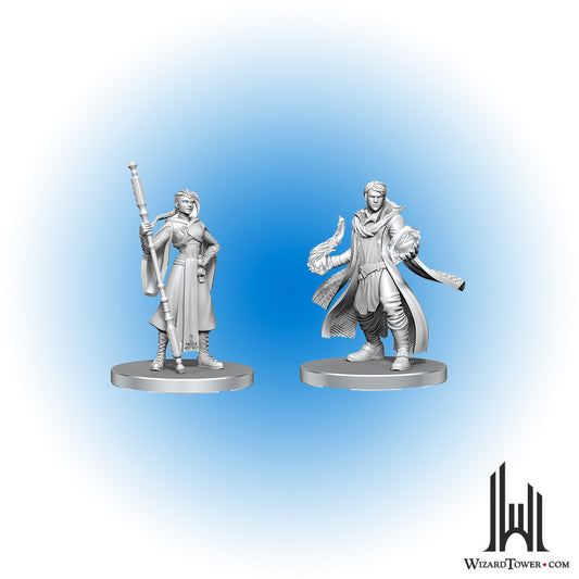 Unpainted Miniature - Critical Role - Beauregard Lionett and Caleb Widogast