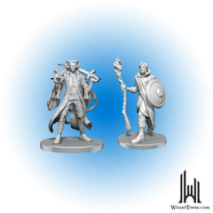 Unpainted Miniature - Critical Role - Mollymauk Tealeaf and Caduceus Clay
