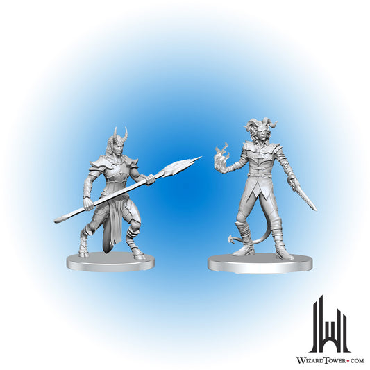 Unpainted Miniature - Pathfinder - Vordine and Pitborn Rogue