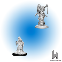 Unpainted Miniature - Dungeons & Dragons - Green Hag and Night Hag