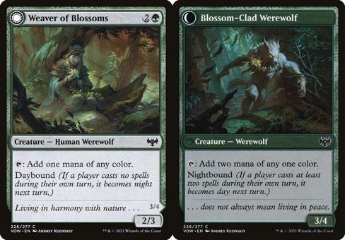 Weaver of Blossoms // Blossom-Clad Werewolf - Foil