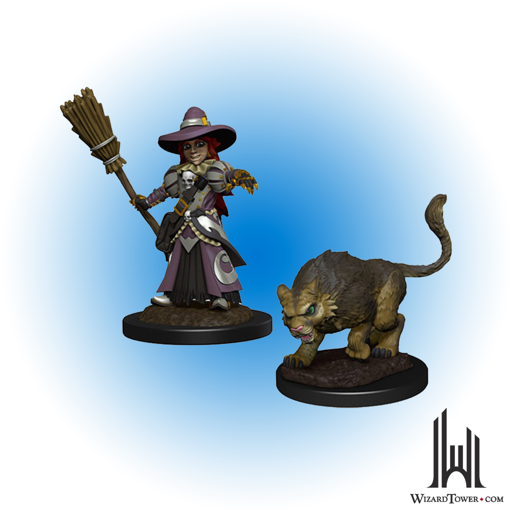 Wardlings Figures - Girl Witch & Witch's Cat