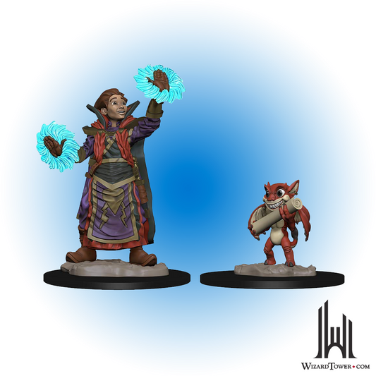 Wardlings Figures - Boy Wizard & Imp