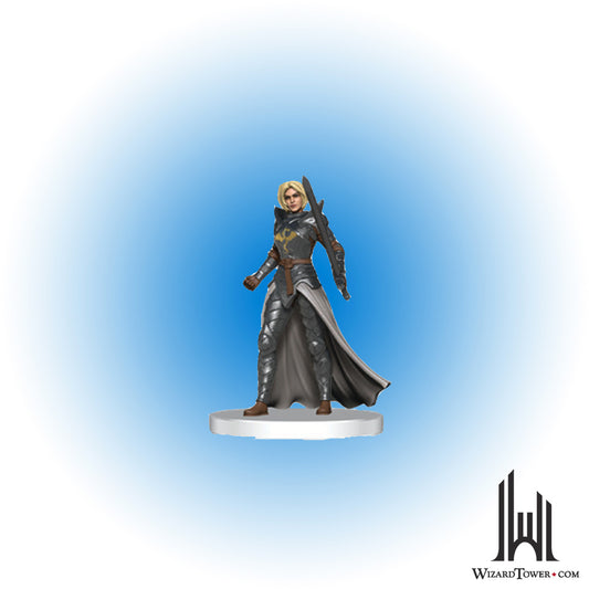 Zhentilar Paladin of Bane #14