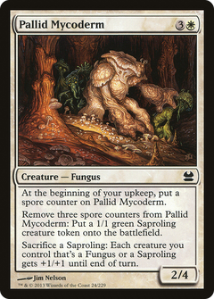 Pallid Mycoderm - Foil