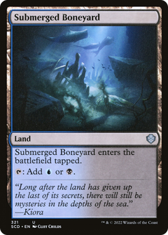 Submerged Boneyard