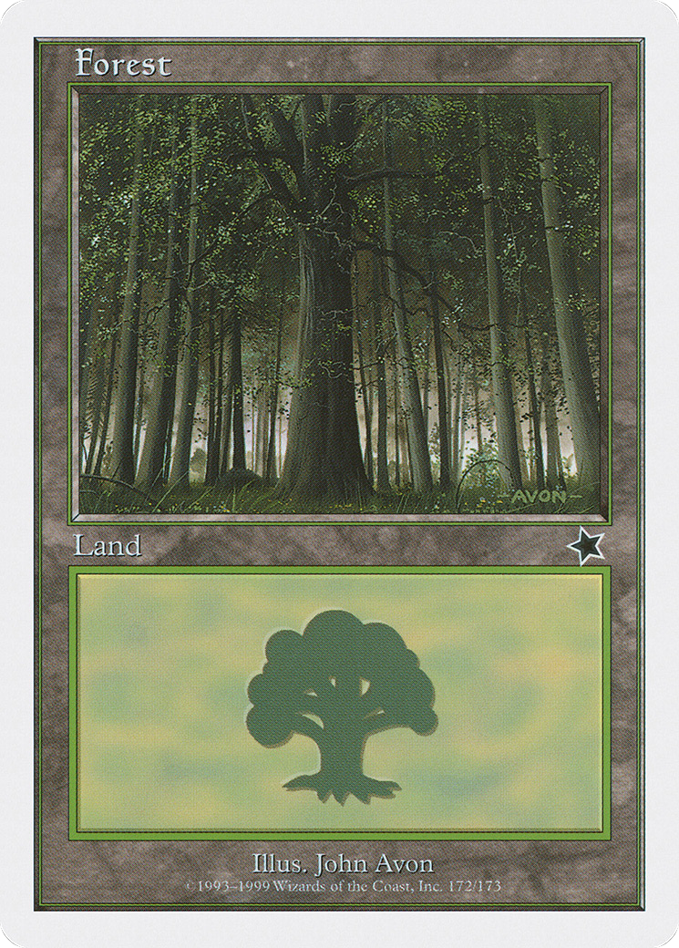 Forest (172)